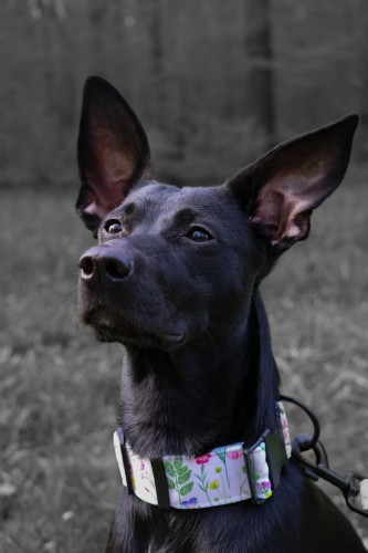 2FC9BEB5-D01D-42C5-B5DE-A7D1E29BF292_L0_001-7.05.2025, 10_25_20.jpg