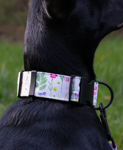 D69CCFA3-02C1-4303-A7C3-9D9E5A0D2589_L0_001-6.05.2025, 13_00_04.jpg