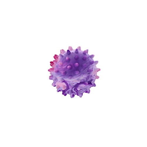 500_500_productGfx_74cbaaa29811e2d90320f9317b297579.webp