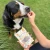 STARTER-PERRO-36-800x800.webp