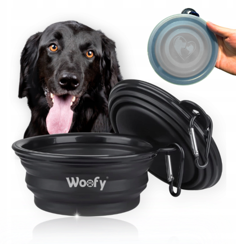 Zrzut ekranu 2025-09-11 114036.png