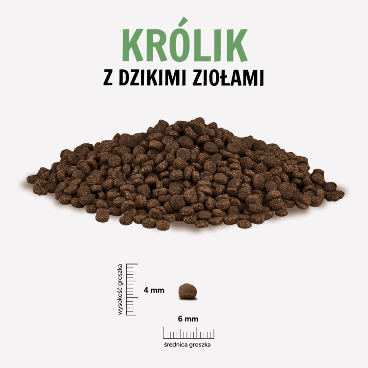 KROLIK-ZIOLA.jpg