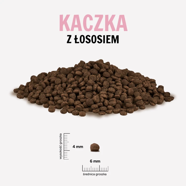 KACZKA-LOSOS.jpg