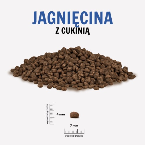 JAGNIECINA-CUKINIA.jpg
