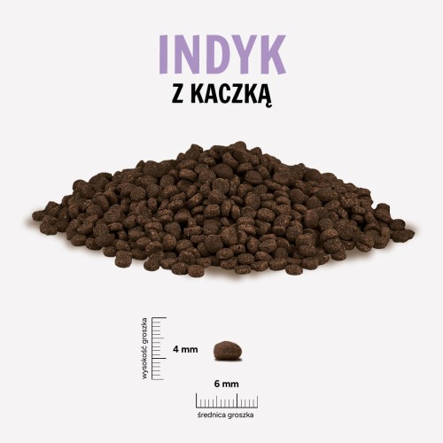 INDYK-KACZKA.jpg