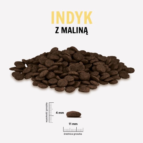 INDYK-MALINA.jpg
