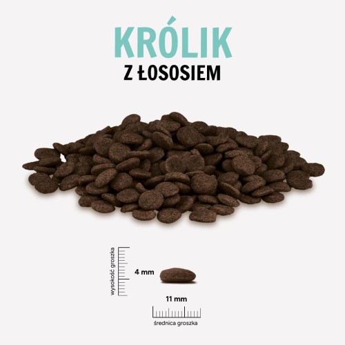 KROLIK-LOSOS.jpg