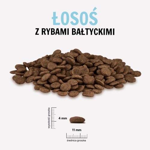 LOSOS-RYBY-BALTYCKIE.jpg