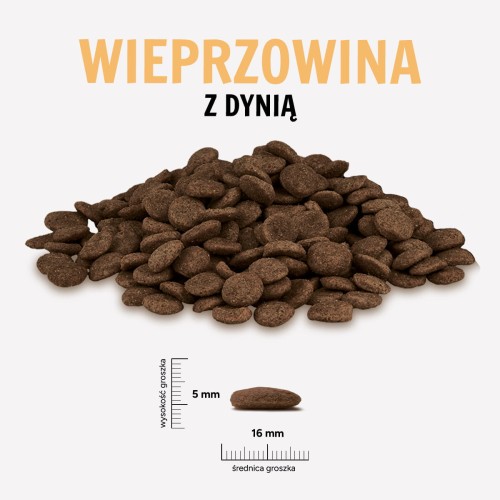 WIEPRZOWINA-DYNIA.jpg