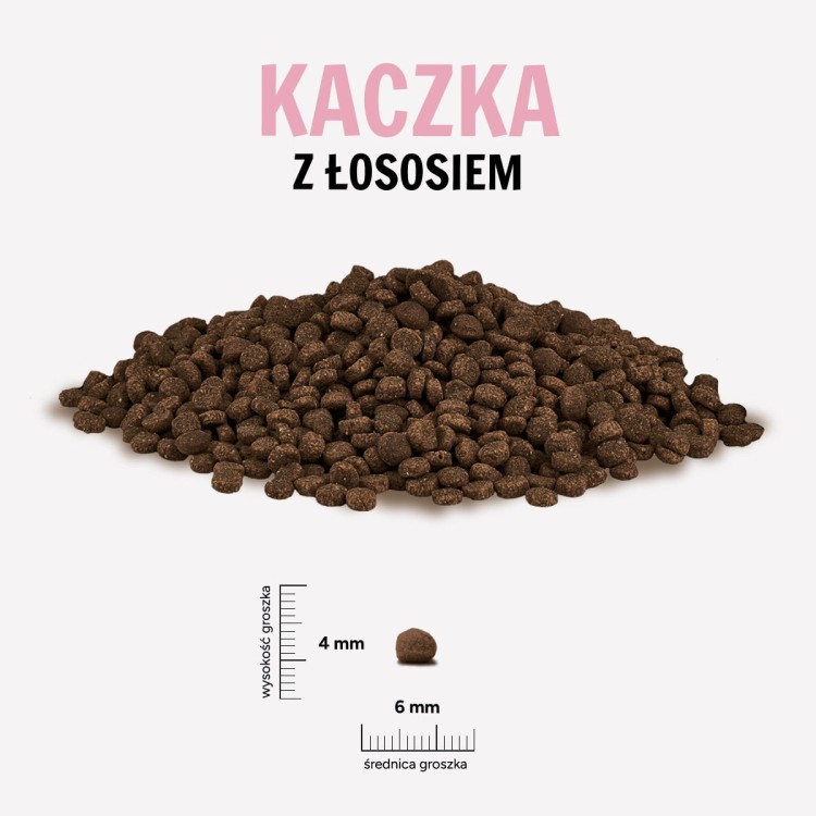 KACZKA-LOSOS.jpg