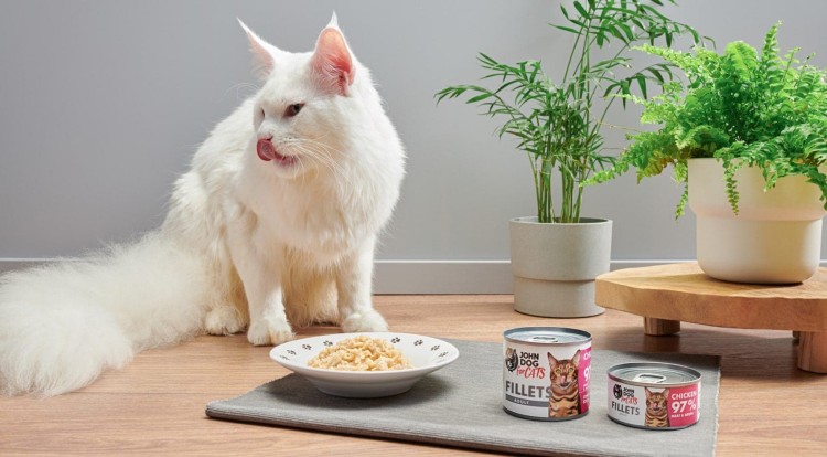 karma-dla-kota-fileciki-z-kurczaka-John-Dog-for-cats-zdjecie-z-kotem-1.jpg