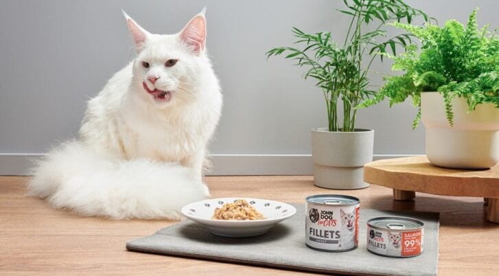 karma-dla-kota-fileciki-z-lososia-z-jajkiem-John-Dog-for-cats-zdjecie-z-kotem-1-727x402.jpg