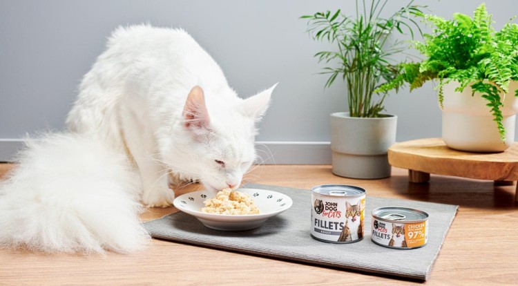 karma-dla-kota-fileciki-z-kurczaka-z-krewetka-John-Dog-for-cats-zdjecie-z-kotem-1.jpg