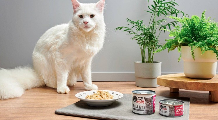 karma-dla-kociat-fileciki-z-kurczaka-John-Dog-for-cats-zdjecie-z-kotem-1.jpg