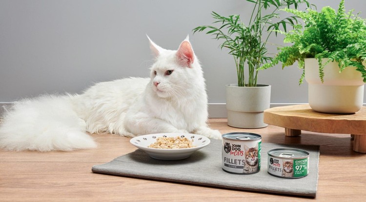 karma-dla-kociat-fileciki-z-kurczaka-z-lososiem-John-Dog-for-cats-zdjecie-z-kotem-1.jpg