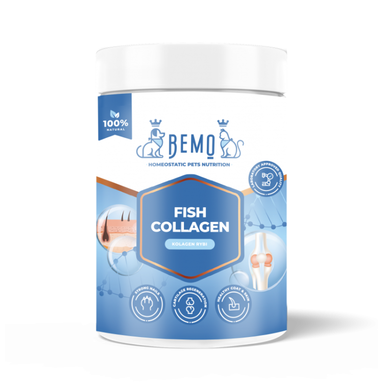 bemo-fish-collagen-kolagen-dla-psa-i-kota.jpg