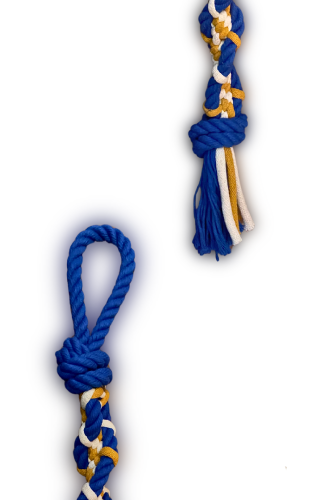 Grafika_bez_nazwy 8.png