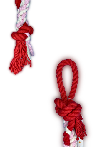 Grafika_bez_nazwy 10.png