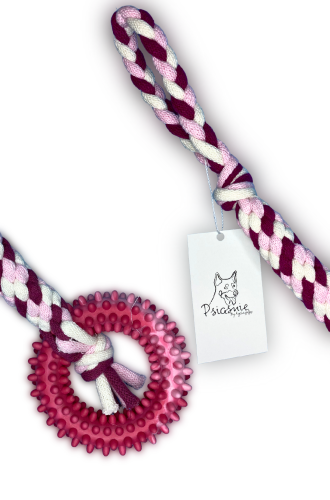 Grafika_bez_nazwy 12.png