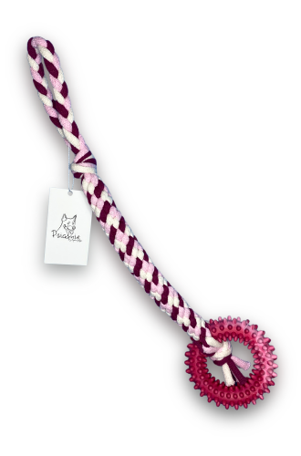 Grafika_bez_nazwy 13.png