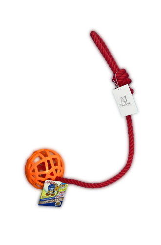 Grafika_bez_nazwy 7.png