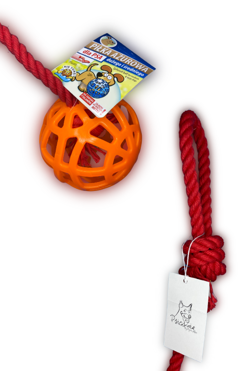 Grafika_bez_nazwy 6.png