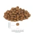 perro-miarka-junior-2.webp