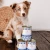 SF1_4567-Editjj.webp