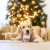 STARTER-PERRO-34.webp