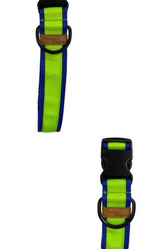 Untitled design - 4.png