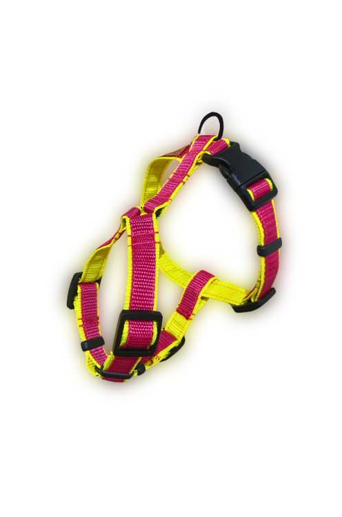 Untitled design - 1.png