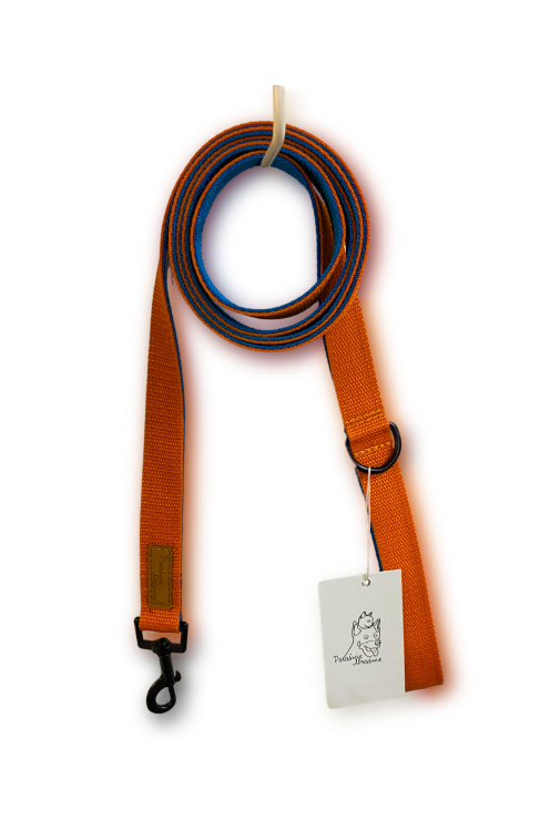 Untitled design - 5.png