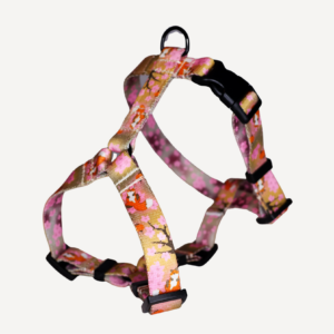Szelki typu guard Sakura / Foxy Blossom